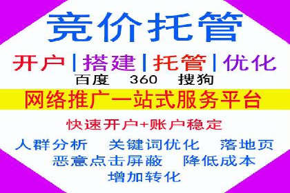 SEM托管服务成功案例：见证品牌成长